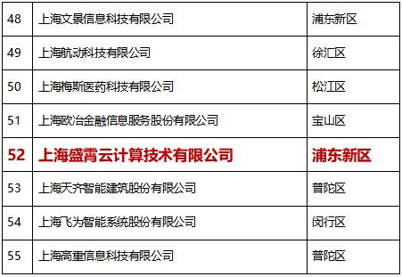巔峰引領(lǐng)，再獲殊榮 比格云榮登2020上海軟件和信息技術(shù)服務(wù)業(yè)高成長百家榜單