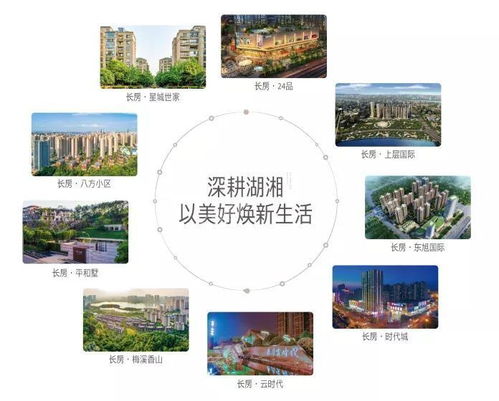 買好房，找長房 承諾十六載，物業服務鑄就堅實后盾